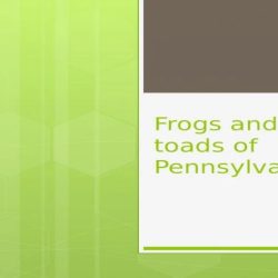 Frogs and toads of pennsylvania