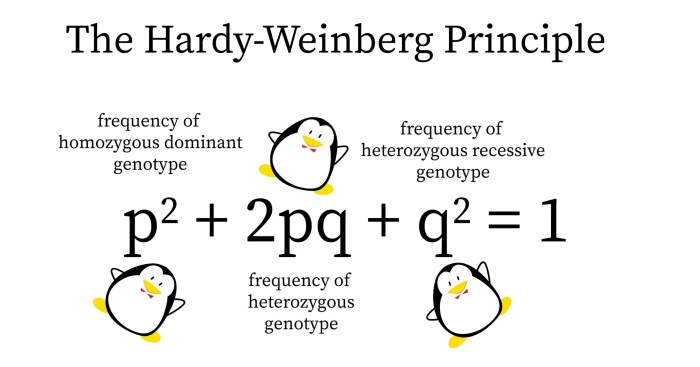 Hardy-weinberg practice problems pdf answers