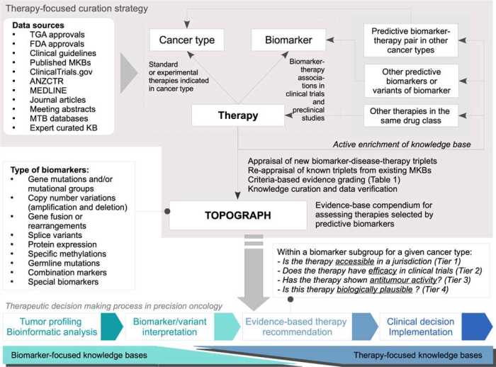 Knowledge and clinical judgment advanced test